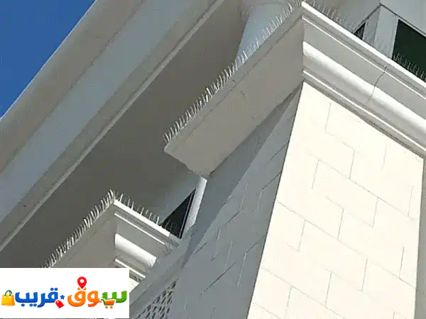 وداعاً لإزعاج الحمام بالدوحة 🇶🇦 | أفضل مانع وطارد للطيور لحماية منزلك نهائياً!