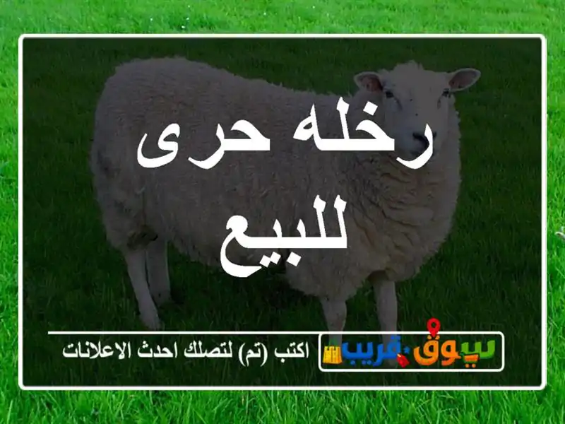 رخله حرى للبيع