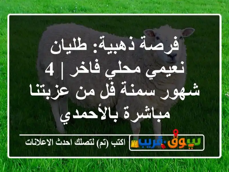 فرصة ذهبية: طليان نعيمي محلي فاخر | 4 شهور سمنة فل...