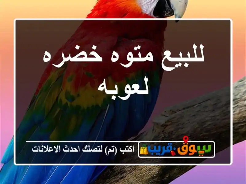 للبيع متوه خضره لعوبه