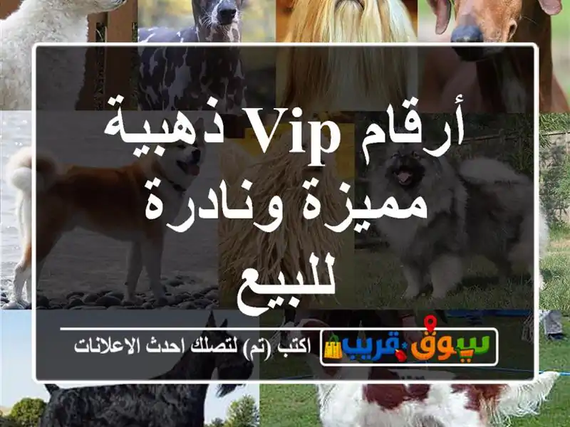 أرقام VIP ذهبية  مميزة ونادرة للبيع