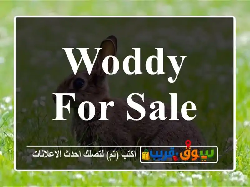 Woddy for sale
