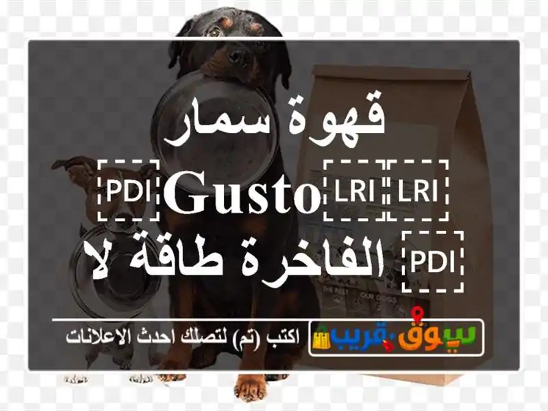 قهوة سمار ⁦⁦Gusto⁩⁩ الفاخرة  طاقة لا مثيل لها