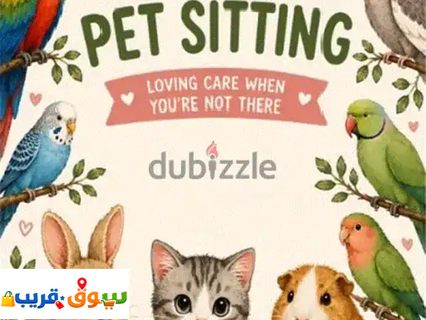 pet sitting
