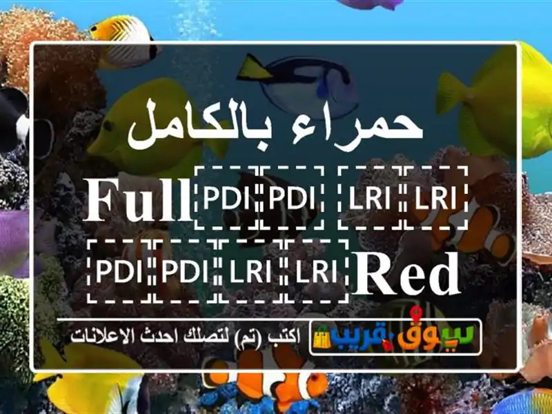 حمراء بالكامل ⁦⁦FULL⁩⁩ ⁦⁦RED⁩⁩