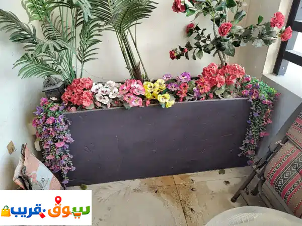 Huge cement pot planters