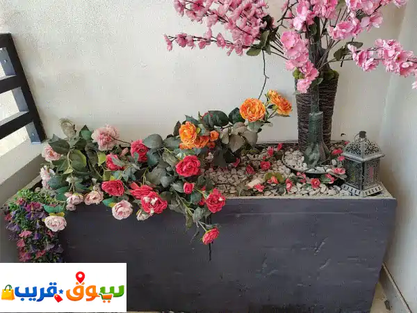 Huge cement pot planters