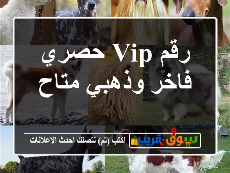 رقم VIP حصري  فاخر وذهبي متاح