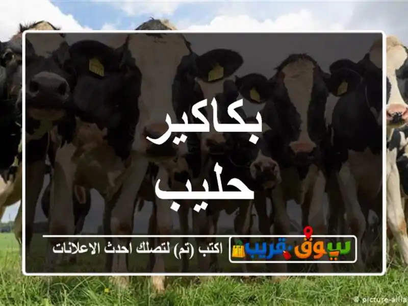 بكاكير حليب