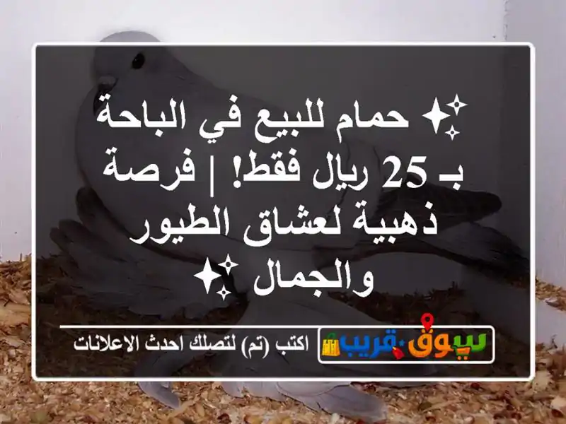 ✨ حمام للبيع في الباحة بـ 25 ريال فقط! | فرصة ذهبية لعشاق الطيور والجمال ✨