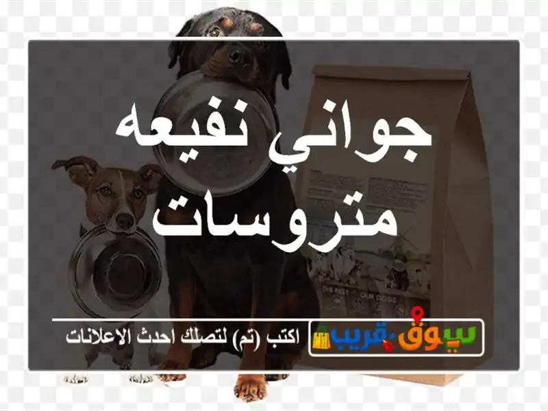 جواني نفيعه متروسات