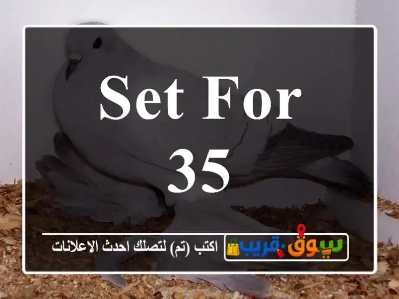Set for 35