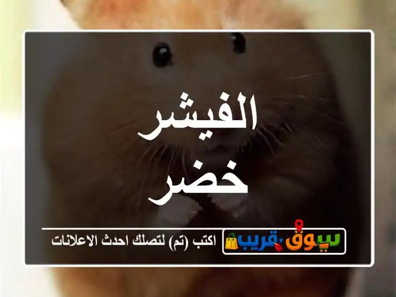 الفيشر خضر