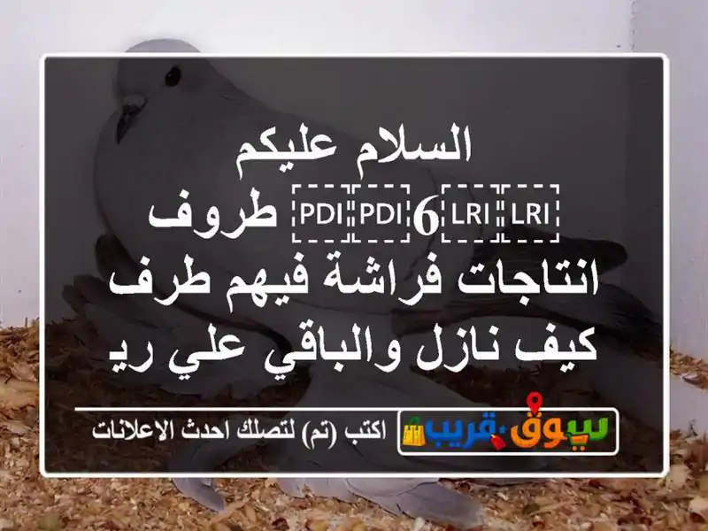 السلام عليكم ⁦⁦6⁩⁩ طروف انتاجات فراشة فيهم طرف...