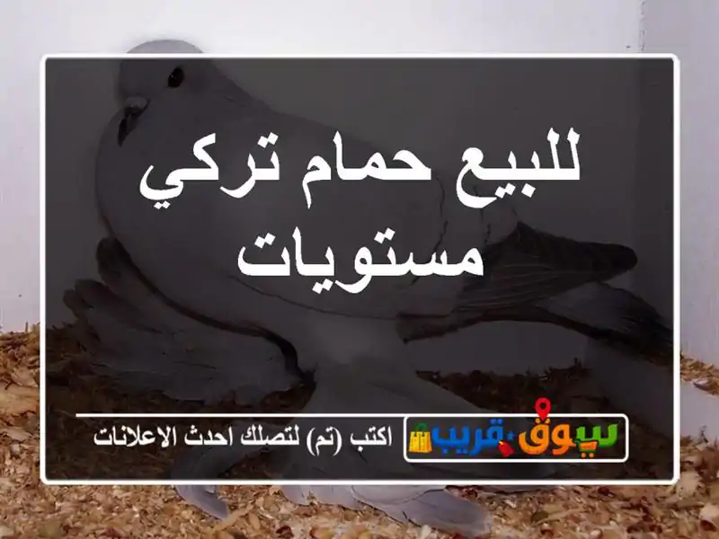 للبيع حمام تركي مستويات