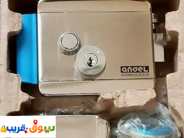 Electric door lock