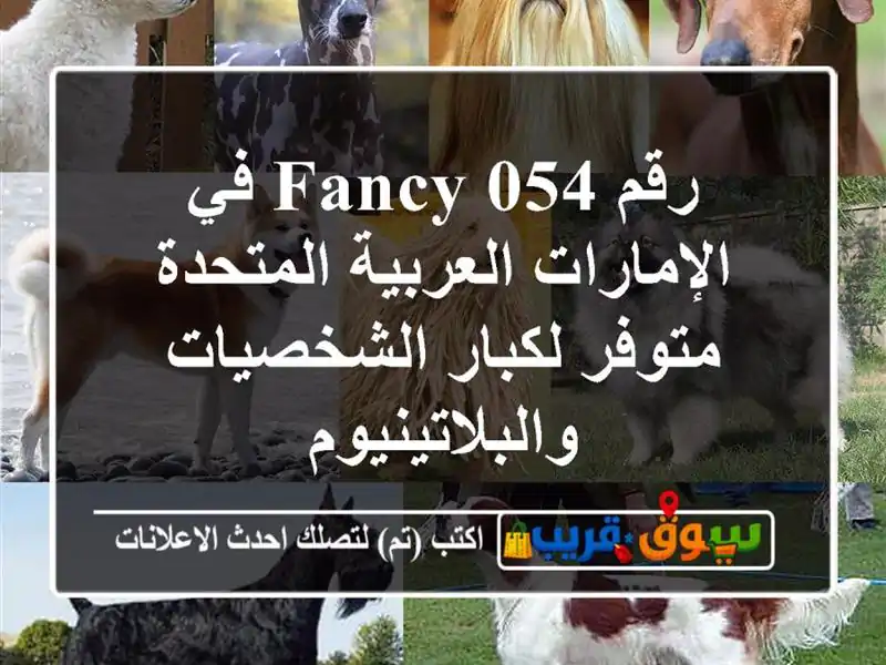 رقم Fancy 054 في الإمارات العربية المتحدة  متوفر...