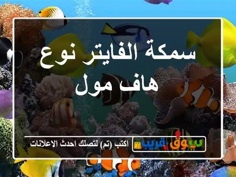 سمكة الفايتر نوع هاف مول