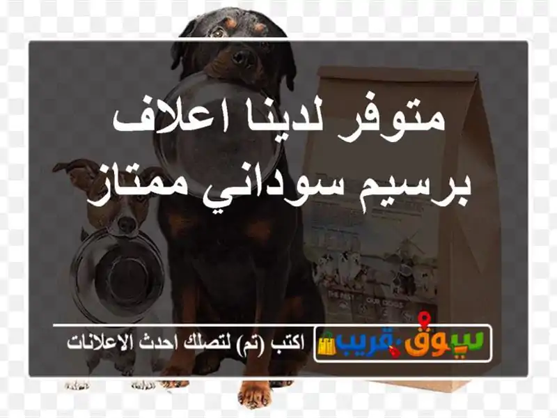 متوفر لدينا اعلاف برسيم سوداني ممتاز