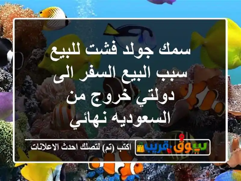 سمك جولد فشت للبيع سبب البيع السفر الى دولتي خروج من السعوديه نهائي
