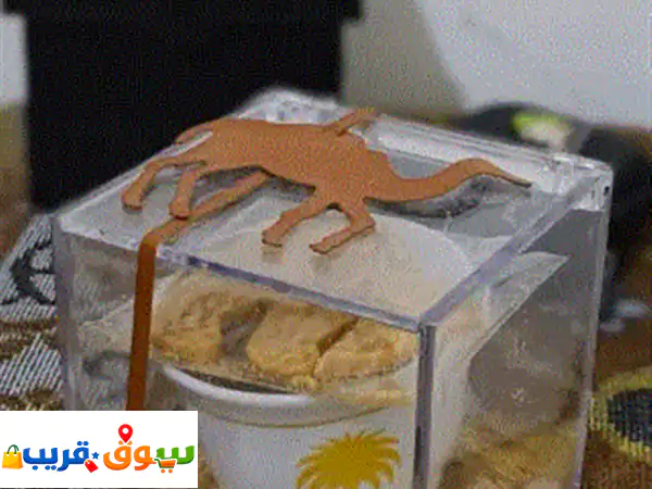 فنجان سيفين، نخله للبيع دون العلبه. 14 رأراضي...