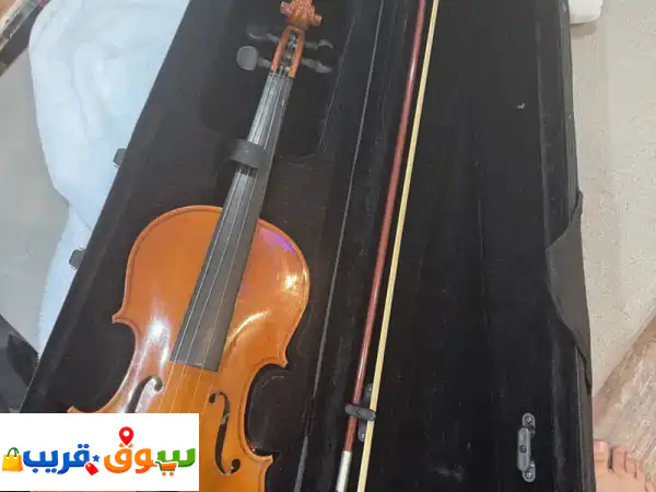 Violin