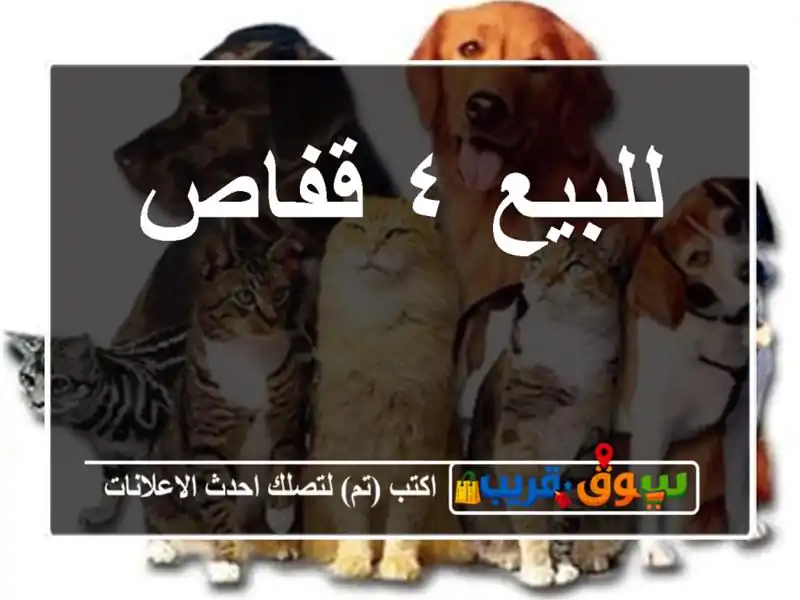 للبيع ٤ قفاص