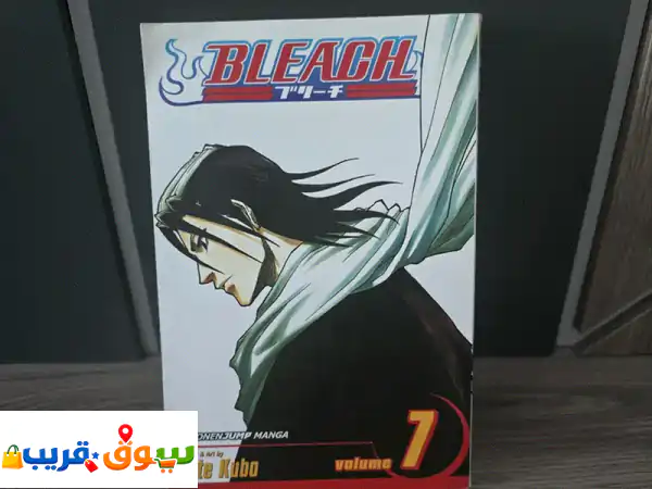 Bleach Manga vol 7