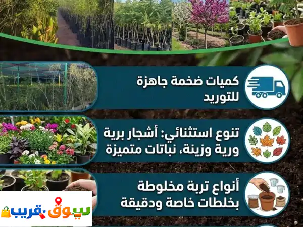 هل تبحث عن مصداقية في التعامل ووفرة في الكميات...
