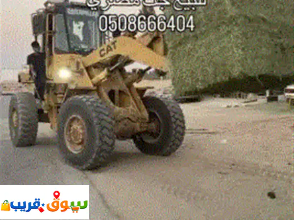 جت مصري بالبندل في مدينة العين / مزيد وزن البندل 400 كيلو سعر 1350 درهم سعر الجملة