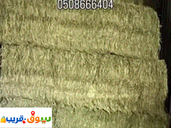جت مصري بالبندل في مدينة العين / مزيد وزن البندل 400...