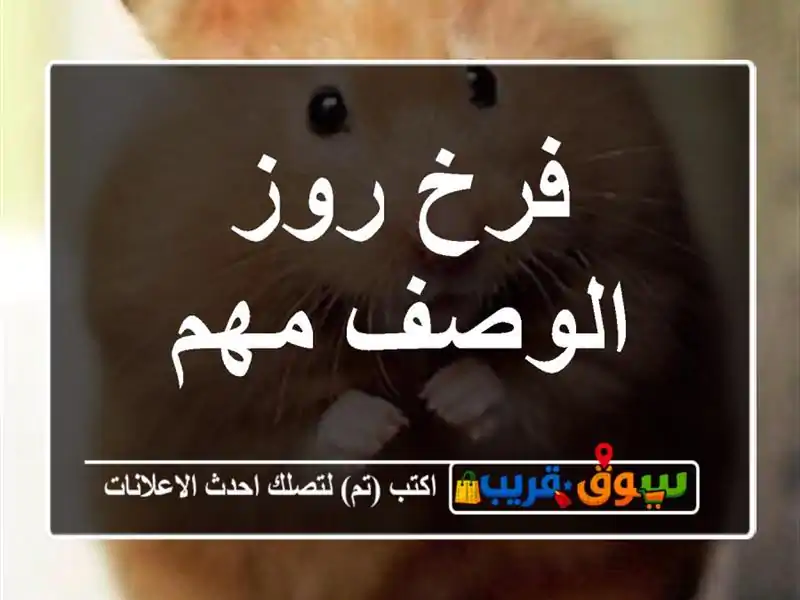 فرخ روز الوصف مهم