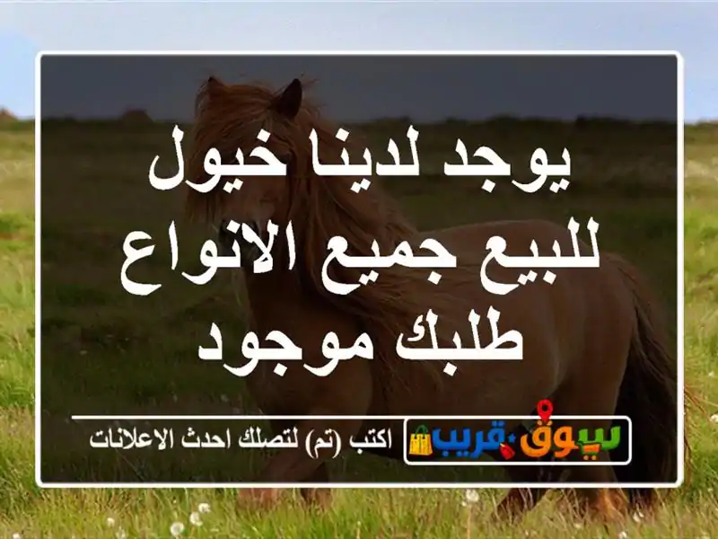 يوجد لدينا خيول للبيع جميع الانواع طلبك موجود