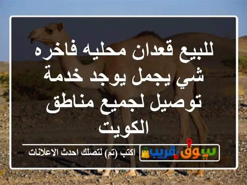 للبيع قعدان محليه فاخره شي يجمل يوجد خدمة توصيل...