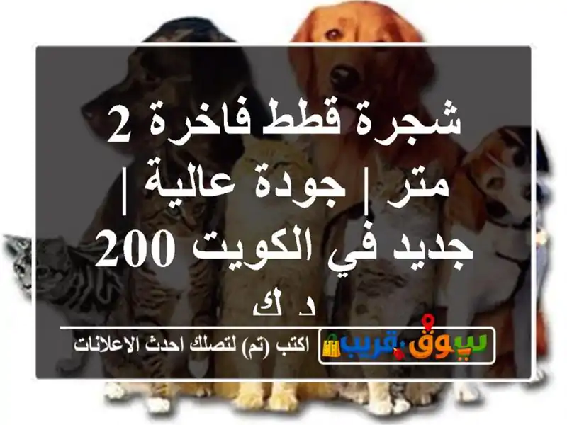 شجرة قطط فاخرة 2 متر | جودة عالية | جديد في الكويت 200 د.ك