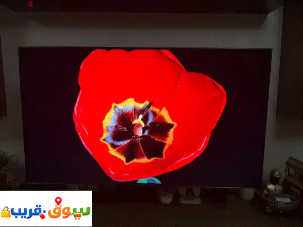 Sony TV BRAVIA 55