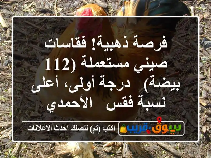 فرصة ذهبية! فقاسات صيني مستعملة (112 بيضة) - درجة...