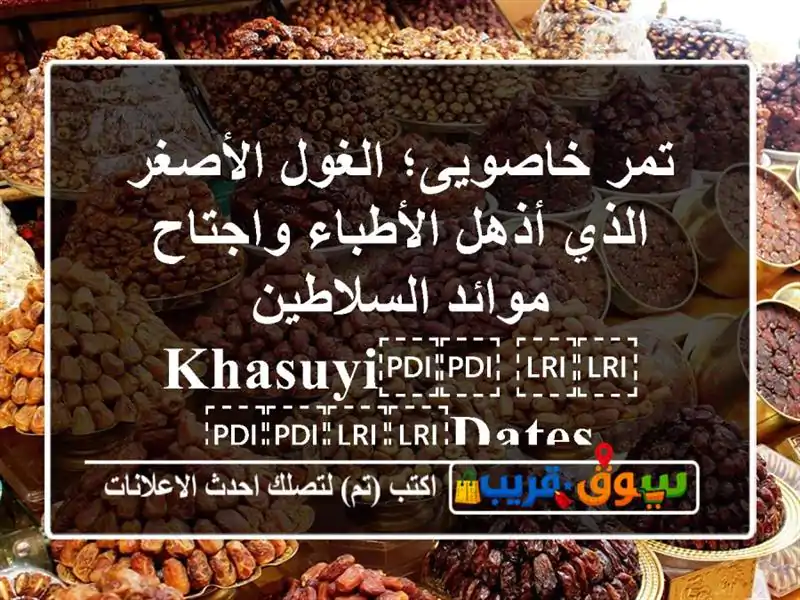 تمر خاصویی؛ الغول الأصغر الذي أذهل الأطباء واجتاح موائد السلاطين ⁦⁦Khasuyi⁩⁩ ⁦⁦Dates⁩⁩