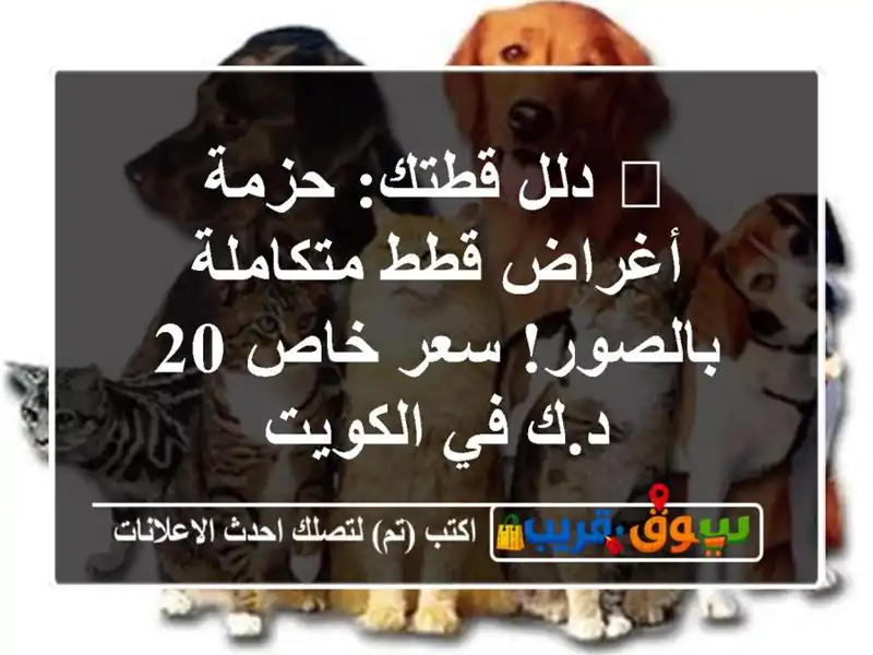 🐾 دلل قطتك: حزمة أغراض قطط متكاملة بالصور! سعر خاص...