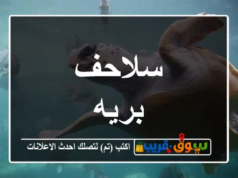 سلاحف بريه
