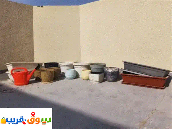 أحواض للزرع 15 مع ابريق سقي للبيع المستعجل ب 50...