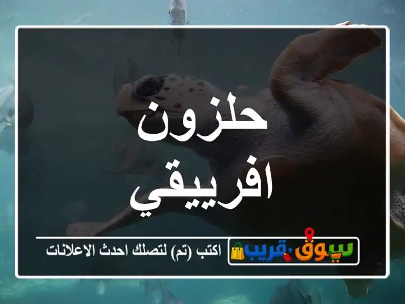 حلزون افرييقي