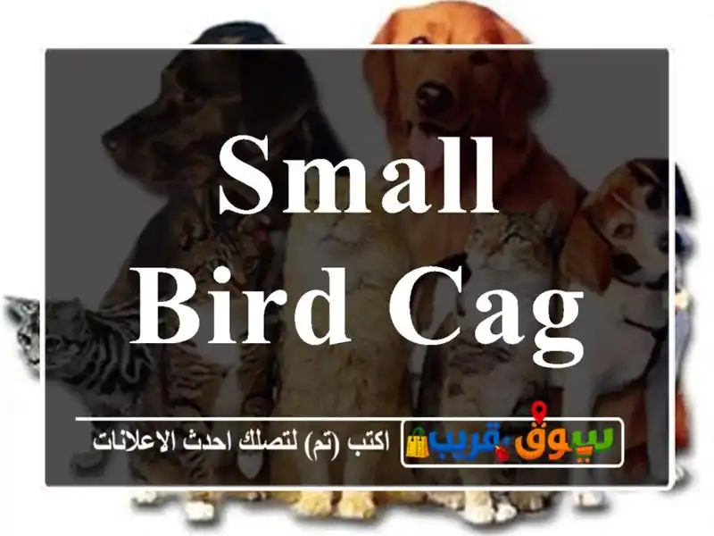 Small Bird Cage