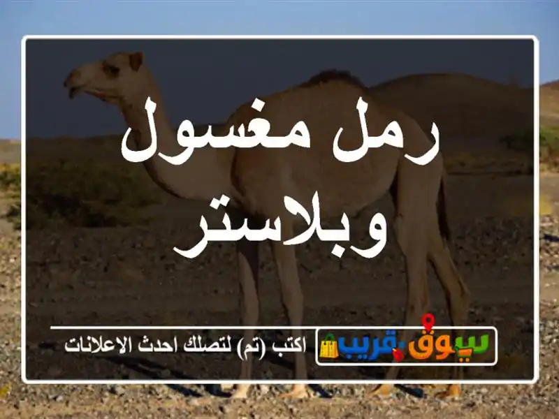 رمل مغسول وبلاستر