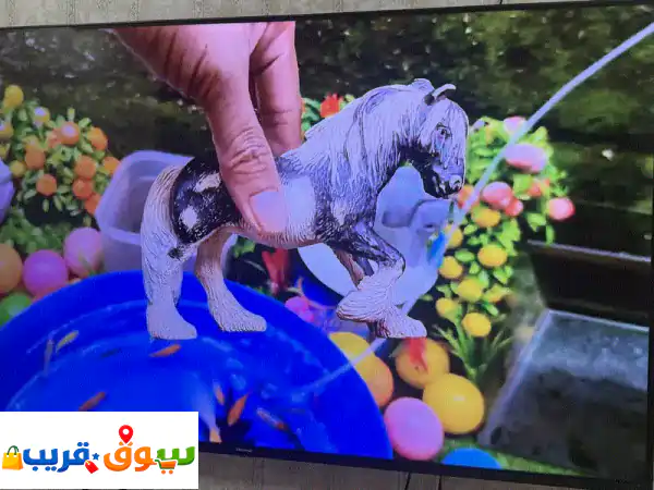تلفزيون Hisense 58 بوصة 4K سمارت بلا إطار: تجربة...