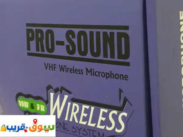 Professional Amplifier with microphone