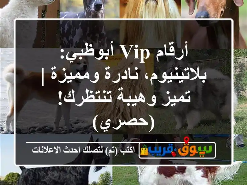 أرقام VIP أبوظبي: بلاتينيوم، نادرة ومميزة | تميز...