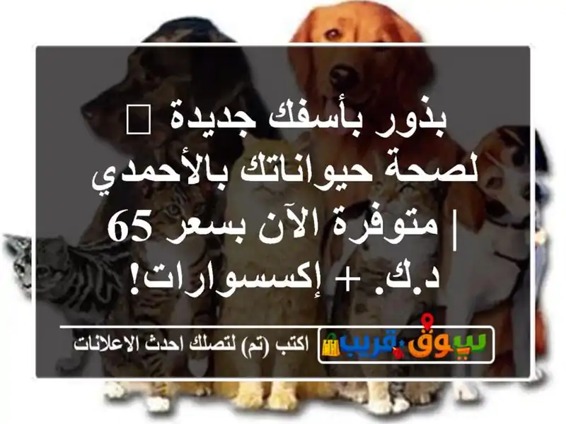 بذور بأسفك جديدة 🌿 لصحة حيواناتك بالأحمدي |...
