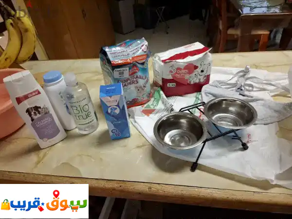 مستلزمات حيوانات أليفة متكاملة | حفاضات، أوعية...