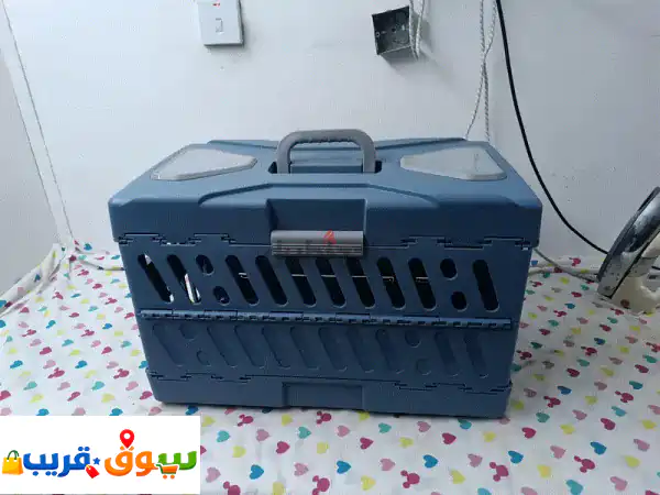 قطط وكلاب للبيع: رفقاء أليفين بحالة ممتازة |...